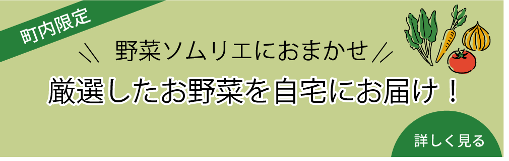 町内限定　　野菜ソムリエにおまかせ　厳選したお野菜を自宅にお届け！